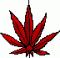 420Suicide's Avatar