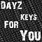 DayZKeysForYou