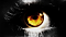 xXGoldenEyesXx