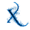 Xenyst