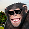 MonkeyPenis's Avatar