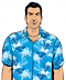 Tommy Vercetti's Avatar