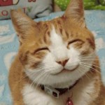 kidopome