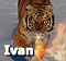 Ivan-1337's Avatar